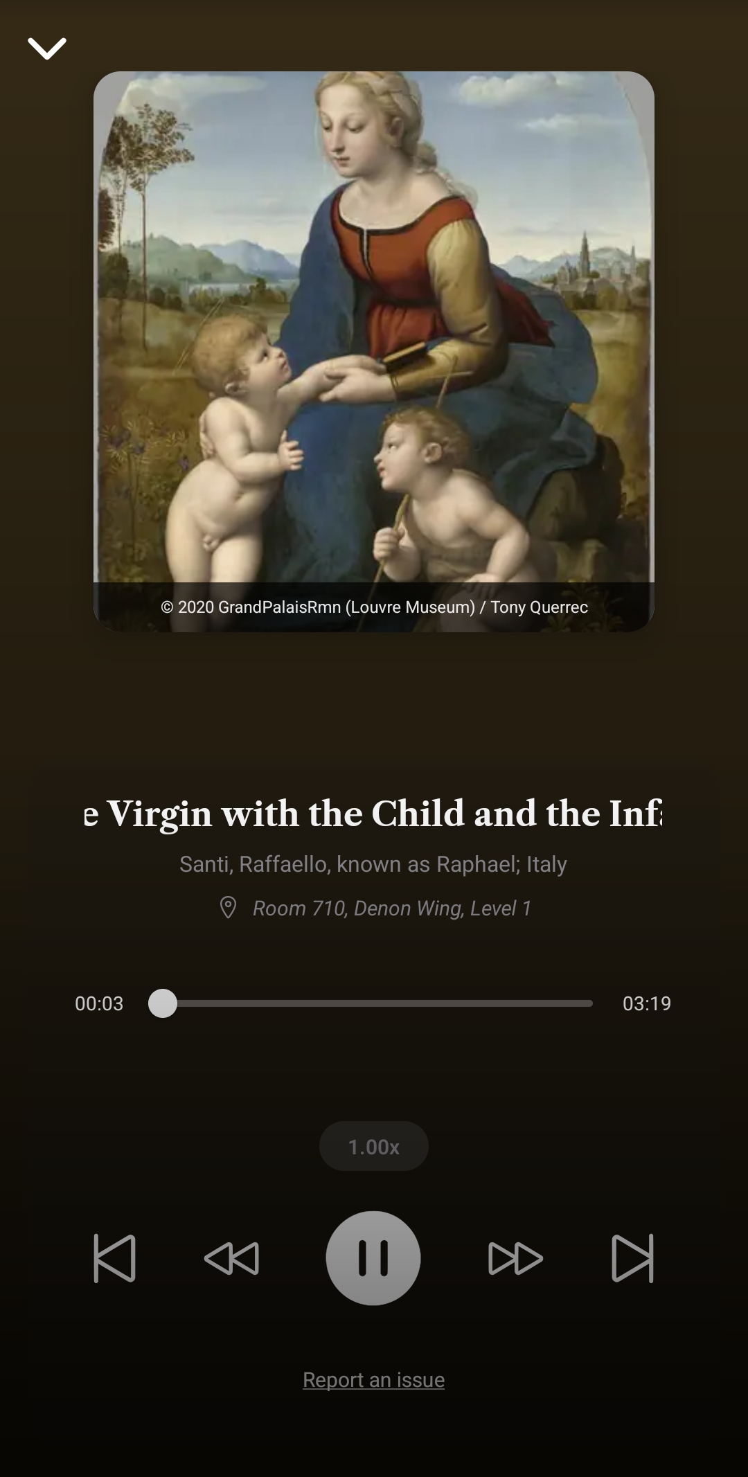 Full-screen audio player showing an artwork